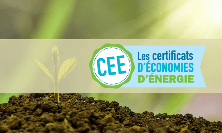 Image conceptuelle des Certificats d'Économies d'Énergie (CEE) avec un jeune plant poussant de la terre.