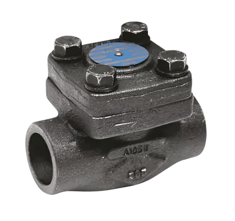 clapets anti-retour vapeur en acier