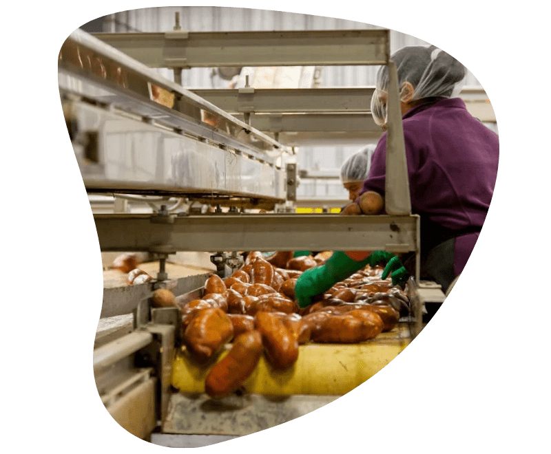 secteur-agroalimentaire